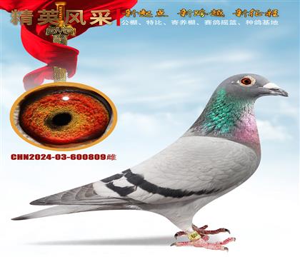 ����������.��������