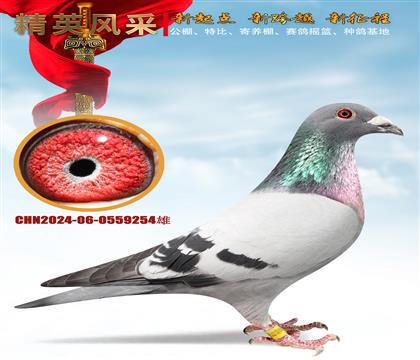 ����ר�߼��塢����񽱳�ǧ��