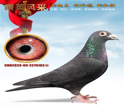 �ڸ������塢ƽ������35���ڸ���ھ�