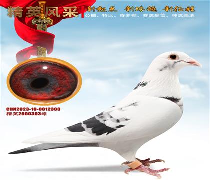 ɽˮ��������11�� �����������