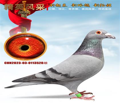 ʯ����ɣ��ʿ.��Ѫ����