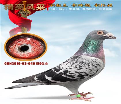 ɣ��ʿ��һ��ʿ�������޵�