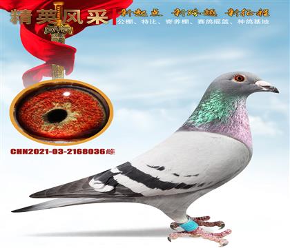 ǧ����11��1200���＾����Ǳ�4545ֱŮ����