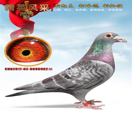 ��ܼ��塢������� �����10��