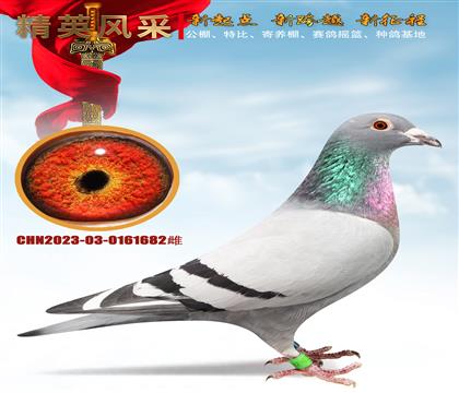 ʯ����ɣ��ʿ682�����ظ���83��