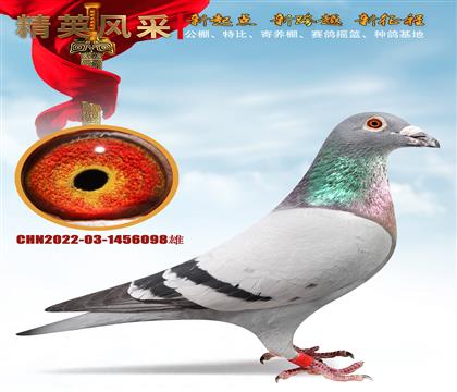 ʯ����ɣ��ʿ078����ĸ86��