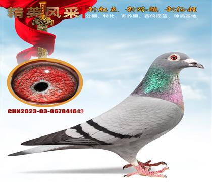 �����ߴ������249����������