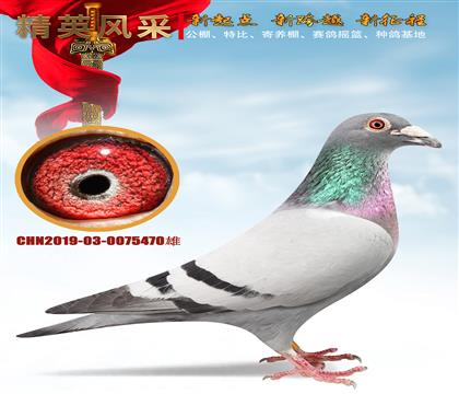 �����Ǳ�4545��Ѫ.ֱ����ֱŮ