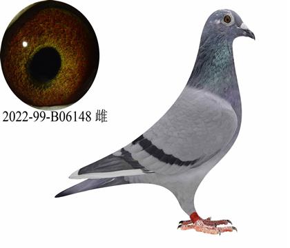 �������������� ����˹�����