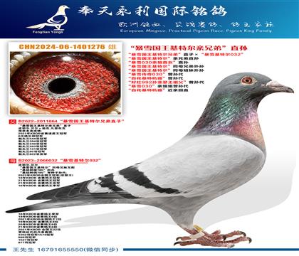 ����ѩ�������ض������ֵ�ֱ�� ����ѩ030�׽�ֱŮ��ֱ�� ��