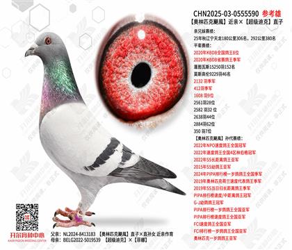 ����ƥ���Z�L���ס������Ͽ�ֱ��