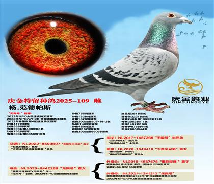 ��.������˹�����޺š����ֵ�ֱ��x�����޺š�ֱŮ