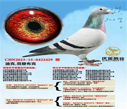 �Ͽ�.���ǲ��ˡ�������ض���ֱ��x�����ض�006��ֱŮ