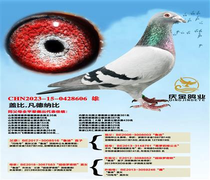 �Ǳ�.�����ɱȡ�³�ϡ�ֱ��x����������ŷ��ֱŮ