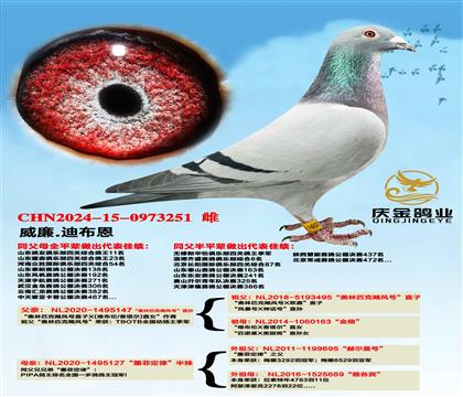 ����.�ϲ���������ƥ��쫷�š�ֱ��x��ī�ƶ��ɡ�����