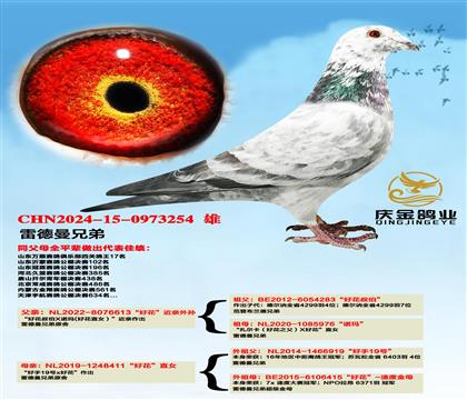 �׵����ֵܡ��û�����������x���û���ֱŮ