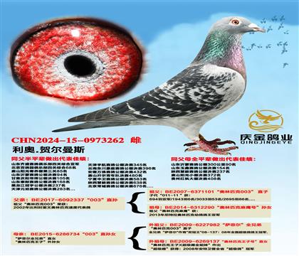 ����.�ն���˹��003��ֱ��x��003��ֱ��Ů