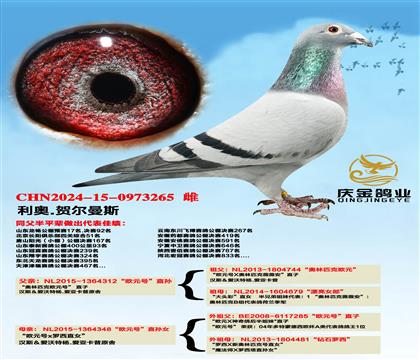 ����.�ն���˹��ŷԪ��ֱ��x��ŷԪ��ֱ��Ů