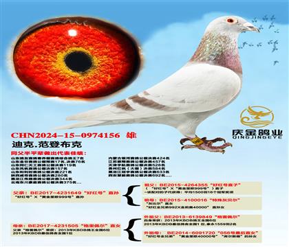 �Ͽ�.���ǲ��ˡ��ú�š�ֱ��x�������塱ֱŮ