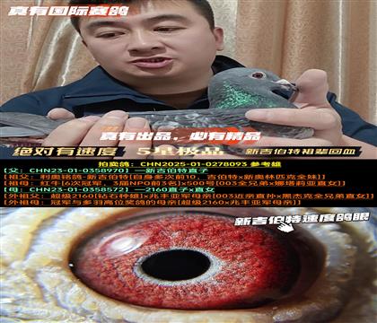 ���������ٶȡ��¼������汲��Ѫ