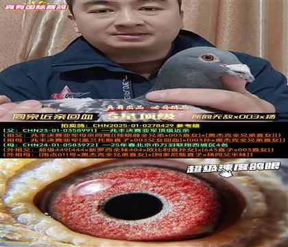 ����������4������ֱ�ӡ��׷��Ǿ�����x����4��