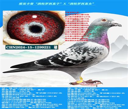 ���ص��Ƽ������ǿ��ա���������ֱ�ӡ�X����������ֱŮ��