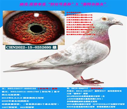 ���ǲ��ˡ��ú��ֱ�X�����ض���Ů��