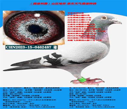 ɣ��ʿ������������������ķֱϵ�ָ�