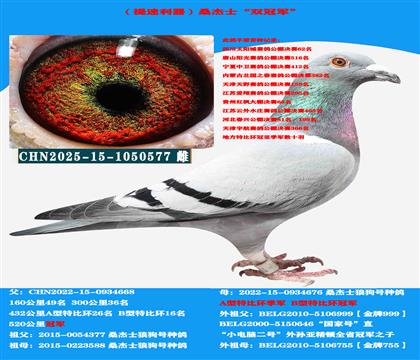 ����������ƣ�ɣ��ʿ��С���Զ��š�ֱϵ