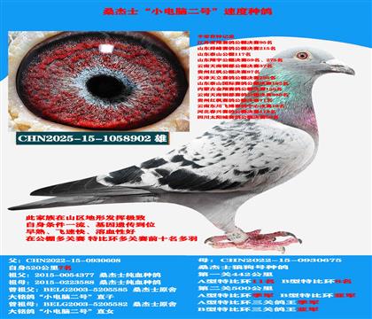 ��ɽ������ �Կ����ͣ��ƹ��������� ������ѡ