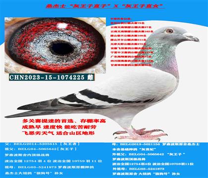 ��ɽ������ �Կ����ͣ�ɣ��ʿ�������ӡ�ֱ��X�������ӡ�ֱŮ