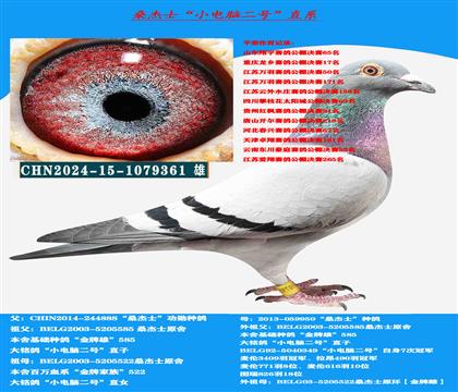 ���������� �Կ����ͣ� ɣ��ʿ����������ָ�