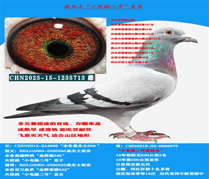 ���Կ����� �����������ƹ��ٶ��ָ�