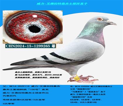 ���Կ����� ����������ɣ��ʿ�߼������ָ�