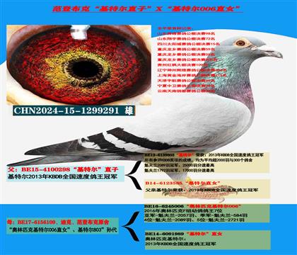 ���������� �����ǲ��ˡ����ض���ֱ��X�����ض�006��ֱŮ