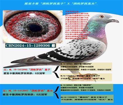 ���ص��Ƽ������ǿ��ա���������ֱ�ӡ�X����������ֱŮ��