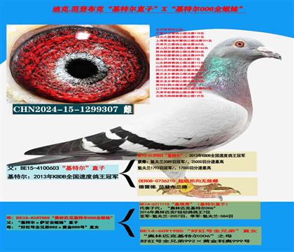 ���ص��Ƽ��������ض���ֱ��X�����ض�006��ȫ����