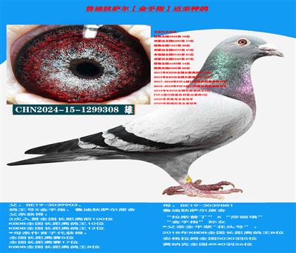 ���ص��Ƽ� �����ȶ���������³�ϵ�����������ָ�������ָ�