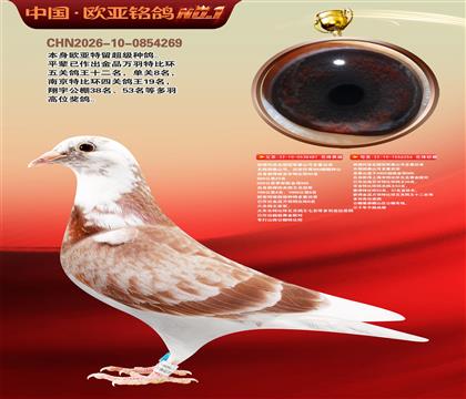 ��������ȫ���ھ�̩ɽ�Ŷ��ؽ���481X256