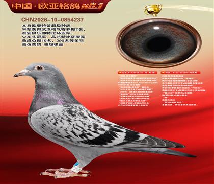 ����ԭ��220X���������۴�003