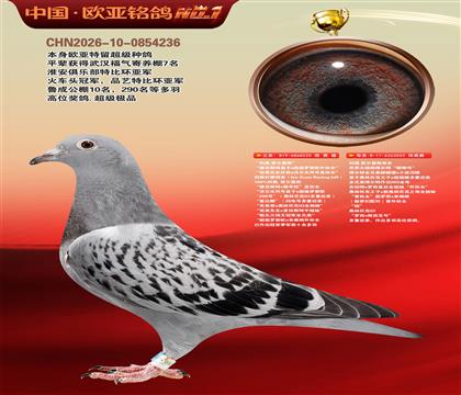 ����ԭ��220X���������۴�003