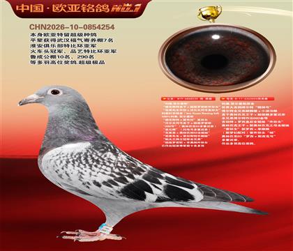 ����ԭ��220X���������۴�003