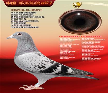 �Ͽ�.���ǲ���440X���ض�237�ƽ����