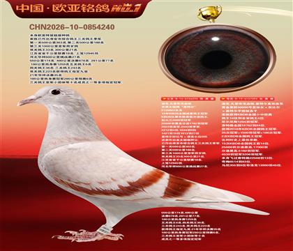 �Ͽ�.���ǲ���Ѫͳ���ض�295X���ض�ֱ��394