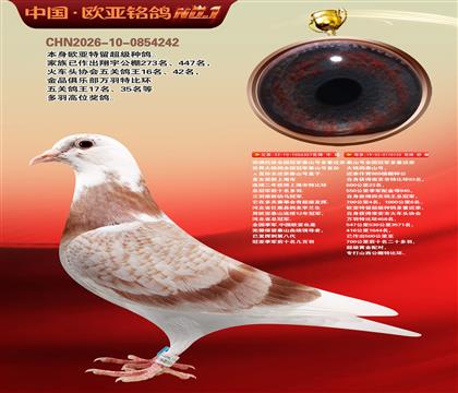 ��������ȫ���ھ�̩ɽ�Ŷ��ؽ���357X133