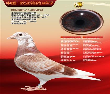 ��������ȫ���ھ�̩ɽ�Ŷ��ؽ���357X133