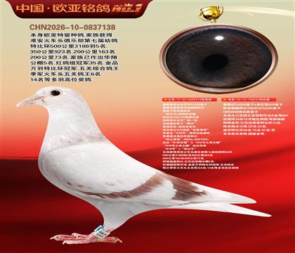 ղɭԭ�ṫ����131X130ֱ��X222������ĸ