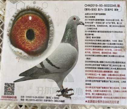 �����ص��Ƽ� ������ҵ