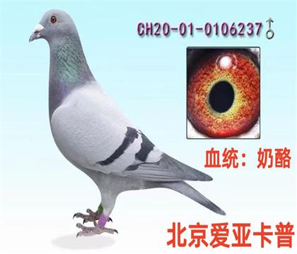 ���ǿ�������