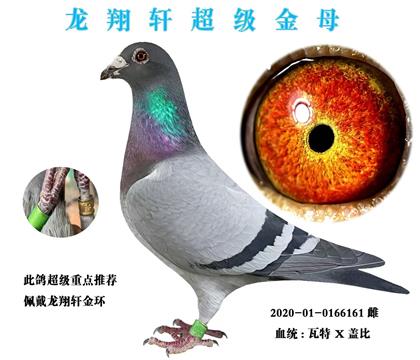 ���������ء��Ǳ�